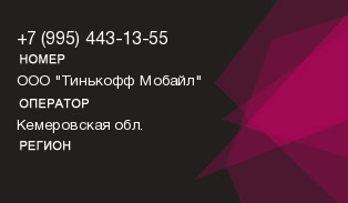 9954431355